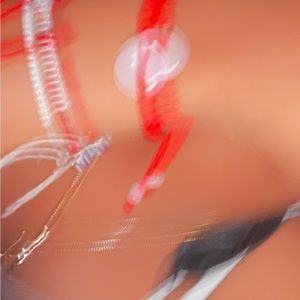 Meet your Posher, Lanii